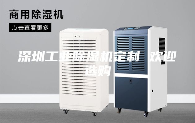 深圳工業除濕機定制 歡迎選購