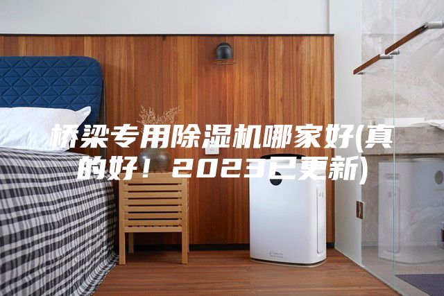 橋梁專(zhuān)用除濕機(jī)哪家好(真的好！2023已更新)