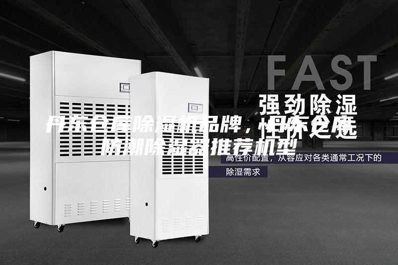 丹東倉庫除濕機品牌，丹東倉庫防潮除濕器推薦機型