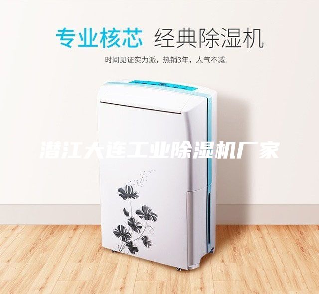 潛江大連工業除濕機廠家