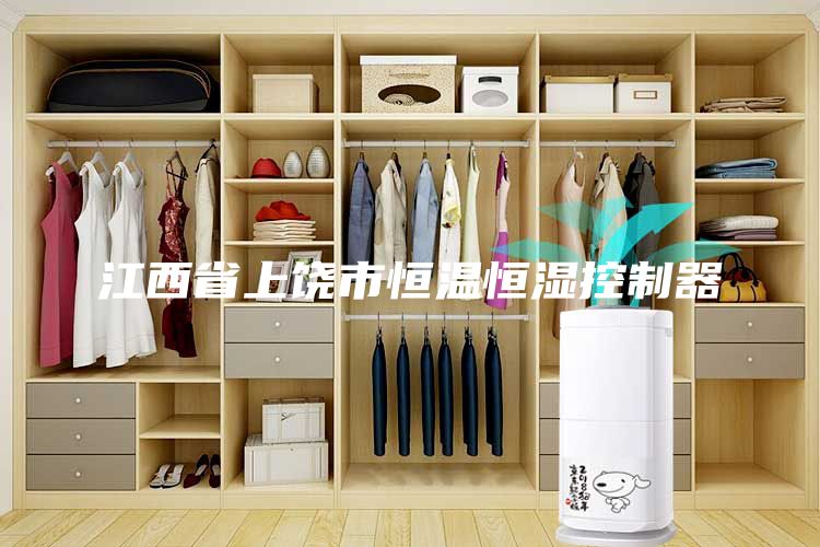 江西省上饒市恒溫恒濕控制器