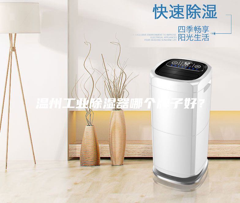 溫州工業除濕器哪個牌子好？