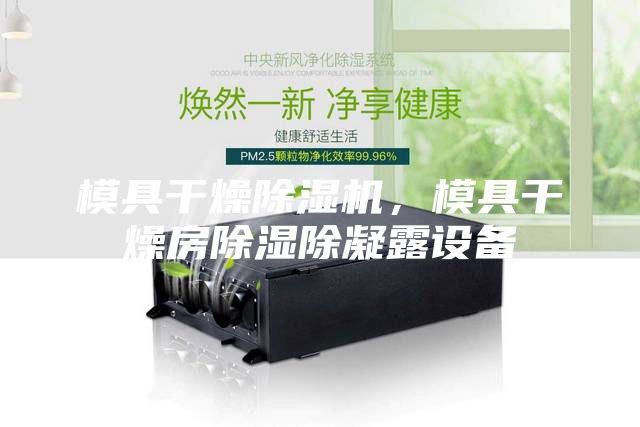 模具干燥除濕機(jī)，模具干燥房除濕除凝露設(shè)備