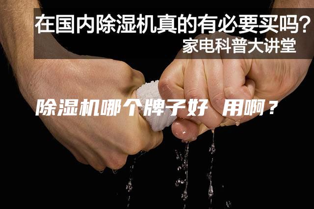 除濕機哪個牌子好 用啊？