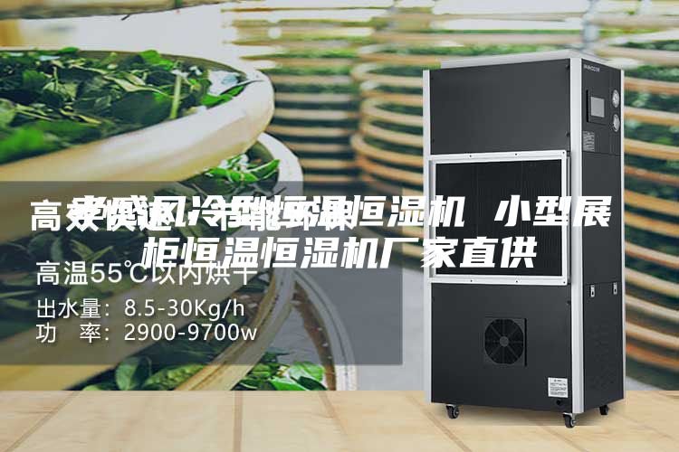 孝感風冷型恒溫恒濕機 小型展柜恒溫恒濕機廠家直供