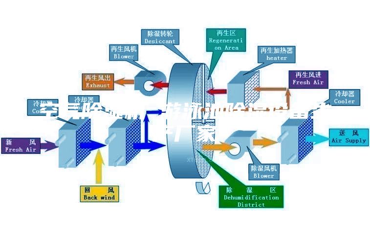 空氣除濕機(jī) 游泳池除濕設(shè)備生產(chǎn)廠家