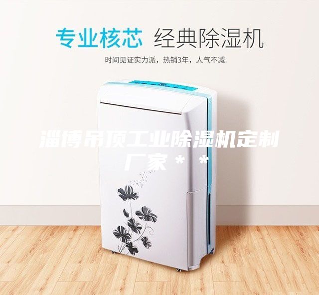 淄博吊頂工業(yè)除濕機定制 廠家＊＊