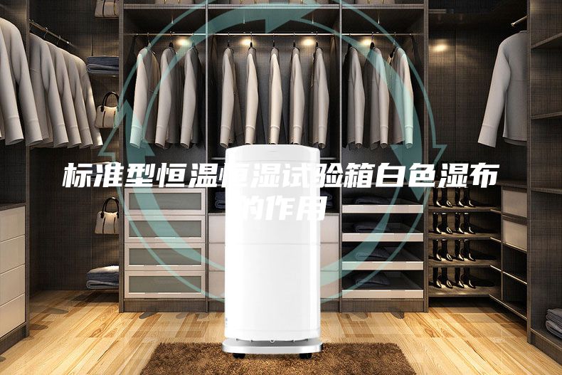 標準型恒溫恒濕試驗箱白色濕布的作用
