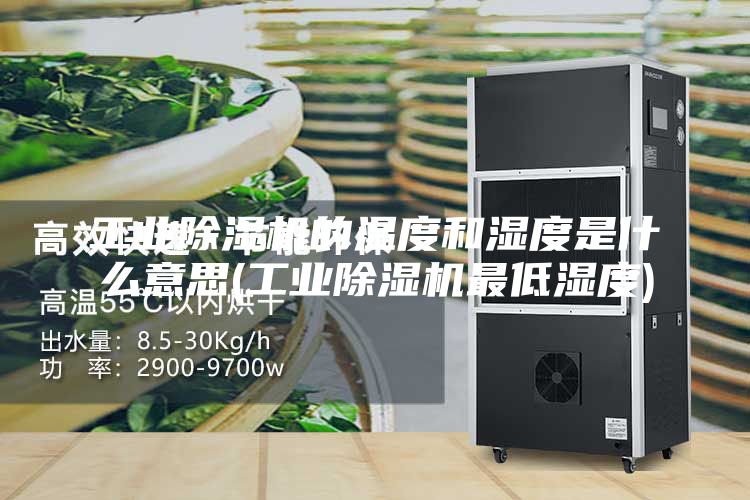 工業(yè)除濕機(jī)的溫度和濕度是什么意思(工業(yè)除濕機(jī)最低濕度)
