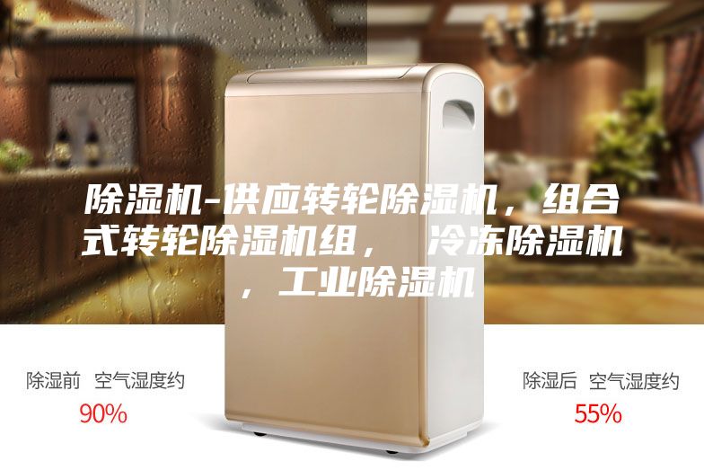 除濕機(jī)-供應(yīng)轉(zhuǎn)輪除濕機(jī)，組合式轉(zhuǎn)輪除濕機(jī)組， 冷凍除濕機(jī)，工業(yè)除濕機(jī)