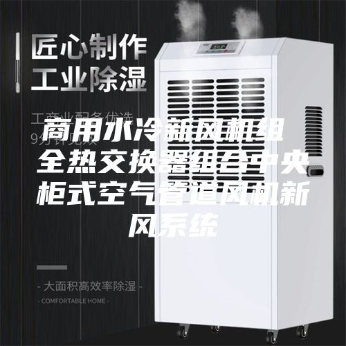 商用水冷新風機組 全熱交換器組合中央柜式空氣管道風機新風系統