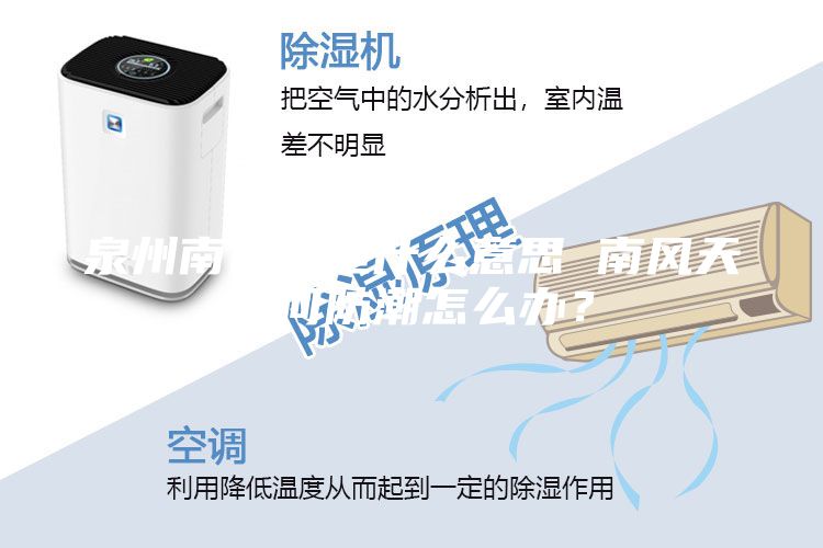 泉州南風天是什么意思 南風天如何防潮怎么辦？