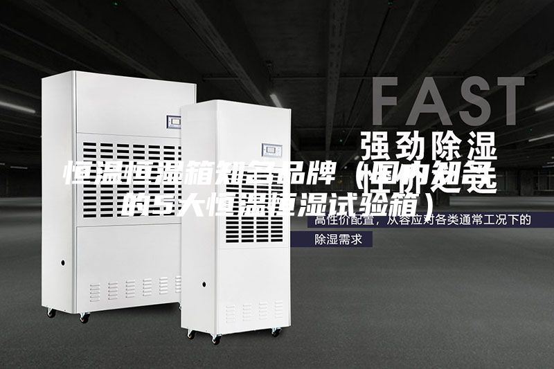 恒溫恒濕箱知名品牌（國內(nèi)知名的5大恒溫恒濕試驗(yàn)箱）