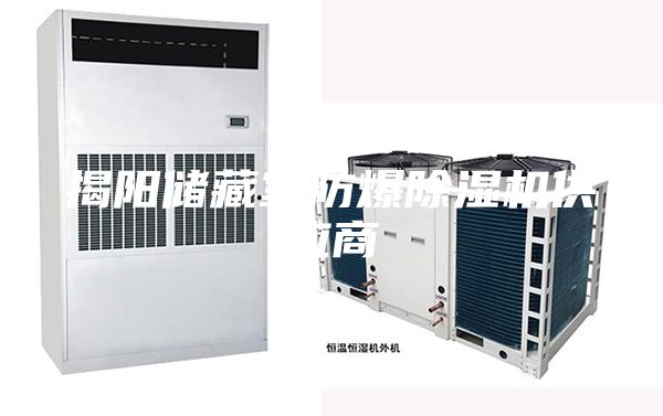 揭陽儲藏室防爆除濕機(jī)供應(yīng)商