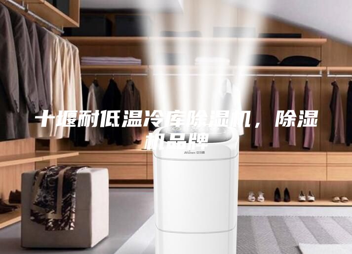十堰耐低溫冷庫除濕機，除濕機品牌