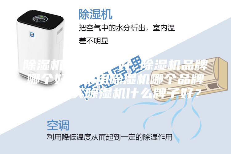 除濕機哪個牌子好 除濕機品牌哪個好？家用除濕機哪個品牌好，想買除濕機什么牌子好？