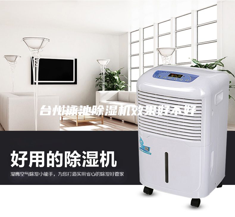 臺州泳池除濕機效果好不好