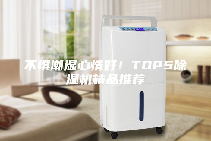 不懼潮濕心情好！TOP5除濕機精品推薦