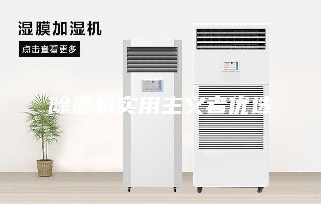 除濕機(jī)實(shí)用主義者優(yōu)選