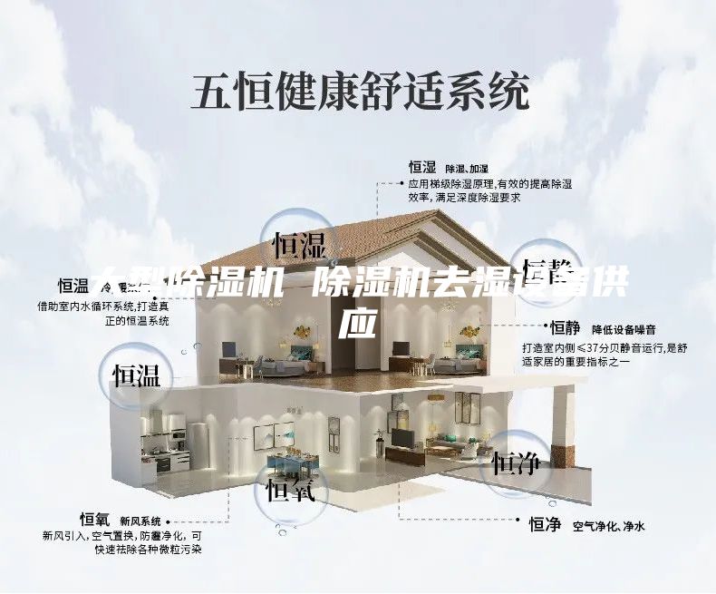 大型除濕機 除濕機去濕設備供應