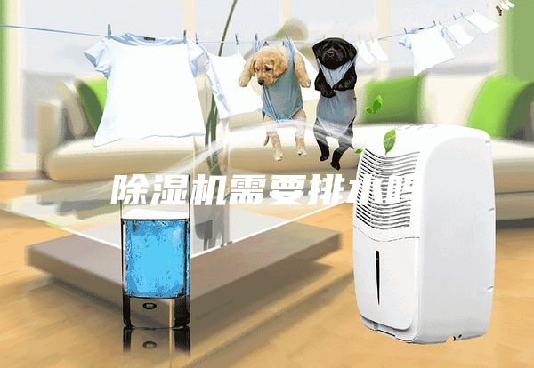 除濕機需要排水嗎