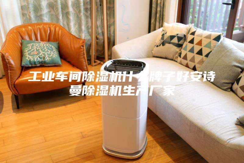 工業車間除濕機什么牌子好安詩曼除濕機生產廠家
