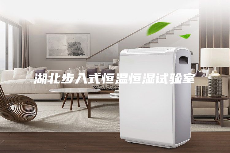 湖北步入式恒溫恒濕試驗(yàn)室