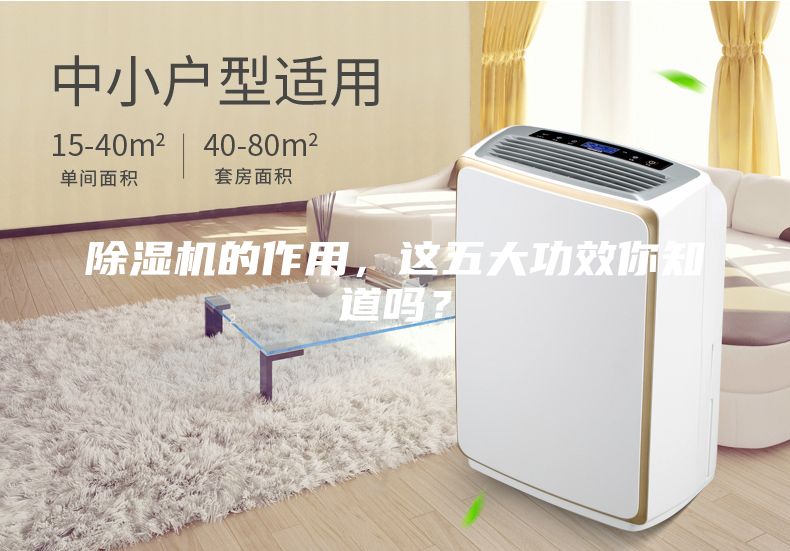 除濕機的作用，這五大功效你知道嗎？