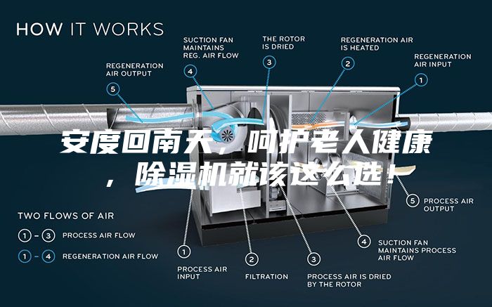 安度回南天，呵護老人健康，除濕機就該這么選！