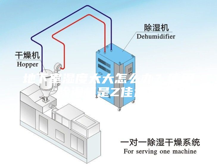 地下室濕度太大怎么辦？使用除濕機是Z佳選擇