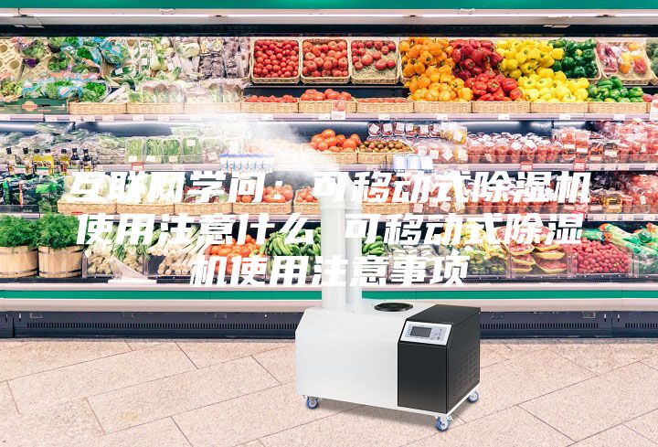 互聯(lián)網(wǎng)學(xué)問：可移動(dòng)式除濕機(jī)使用注意什么 可移動(dòng)式除濕機(jī)使用注意事項(xiàng)