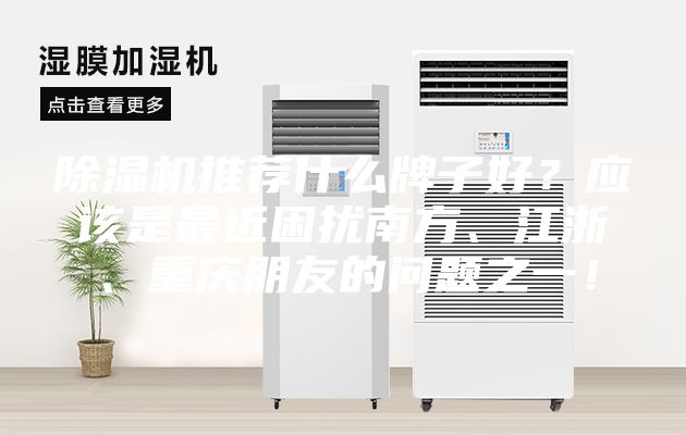 除濕機推薦什么牌子好？應該是最近困擾南方、江浙、重慶朋友的問題之一！