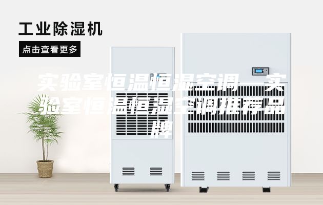 實驗室恒溫恒濕空調(diào)—實驗室恒溫恒濕空調(diào)推薦品牌