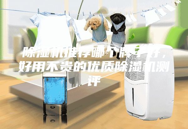 除濕機推薦哪個牌子好，好用不貴的優質除濕機測評