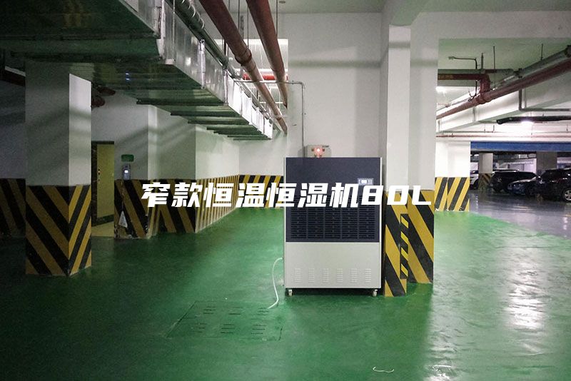 窄款恒溫恒濕機(jī)80L