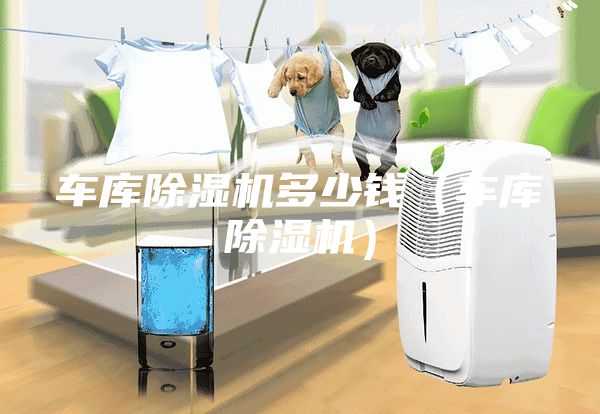 車(chē)庫(kù)除濕機(jī)多少錢(qián)（車(chē)庫(kù)除濕機(jī)）