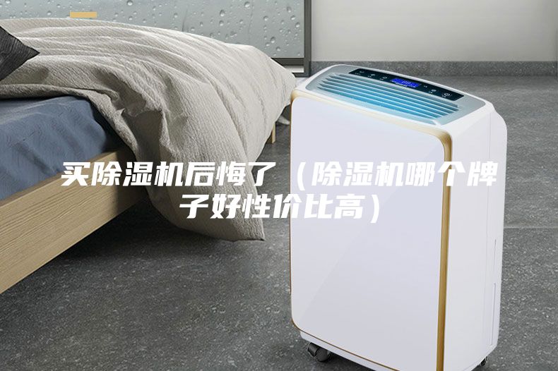買(mǎi)除濕機(jī)后悔了（除濕機(jī)哪個(gè)牌子好性?xún)r(jià)比高）