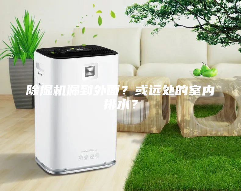 除濕機(jī)漏到外面？或遠(yuǎn)處的室內(nèi)排水？