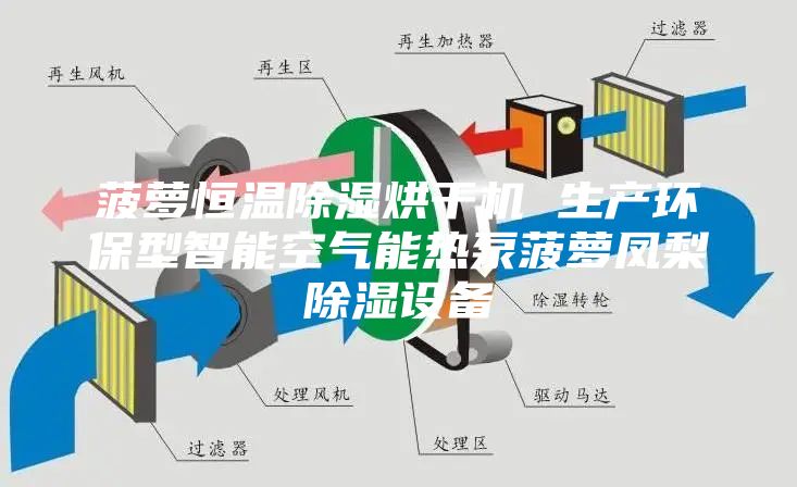菠蘿恒溫除濕烘干機 生產環保型智能空氣能熱泵菠蘿鳳梨除濕設備