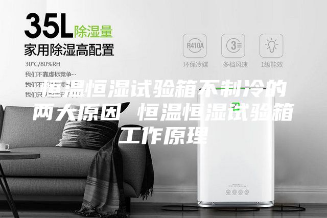 恒溫恒濕試驗(yàn)箱不制冷的兩大原因 恒溫恒濕試驗(yàn)箱工作原理