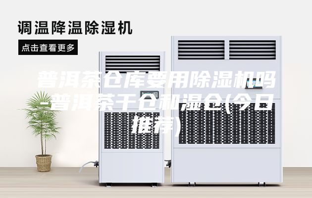 普洱茶倉庫要用除濕機嗎-普洱茶干倉和濕倉(今日推薦)