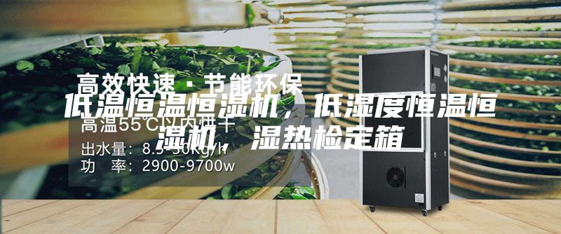 低溫恒溫恒濕機(jī)，低濕度恒溫恒濕機(jī)，濕熱檢定箱